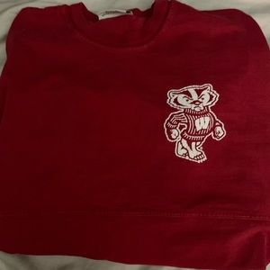 Long Sleeve University of Wisconsin-Madison Shirt